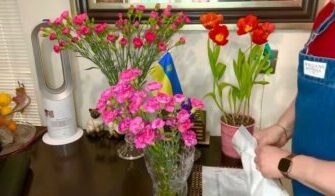 Як продовжити життя зрізаних квітів: поради для свіжості у вазі