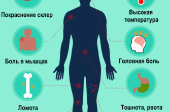 Як проявляється лихоманка денге: симптоми, ознаки та діагностика