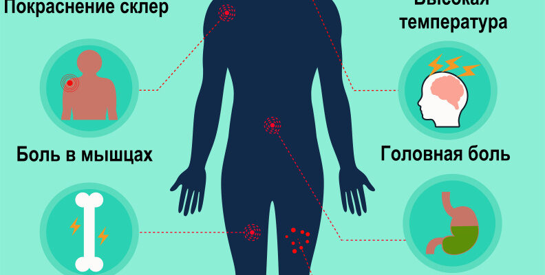 Як проявляється лихоманка денге: симптоми, ознаки та діагностика