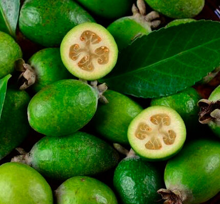 Користь фейхоа для організму: вітаміни, антиоксиданти та імунітет