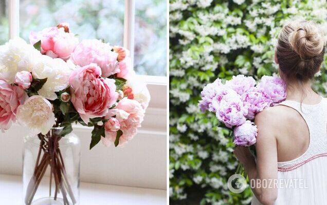 Як зберегти свіжість півоній у вазі довше: поради та рекомендації