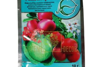Скільки часу потрібно замочувати фітоспорин для кращого ефекту?