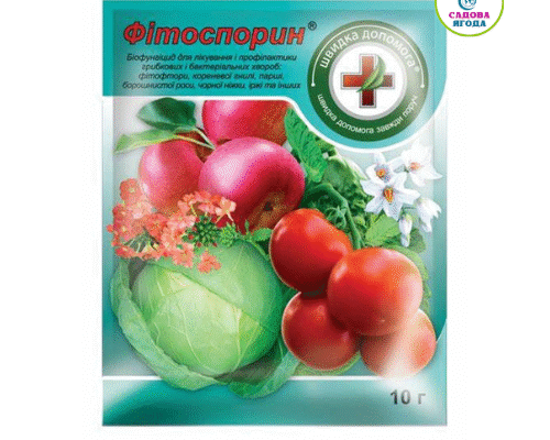 Різниця між Фітоспоринами: порівняння версій та ефективність застосування