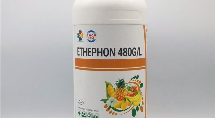 Гормон, що сприяє дозріванню плодів: який він і як працює?