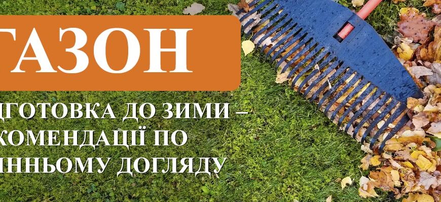 Коли краще вирівнювати газон: весною чи восени? Оптимізація порад