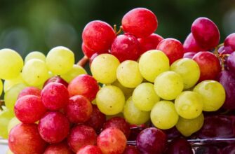 Виноград: Який колір вважається найкориснішим для здоров’я?
