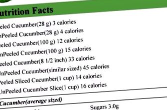 Скільки калорій спалює огірок: енергетична цінність та користь овочу