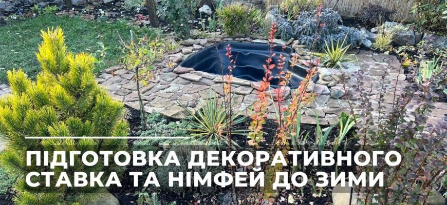 Готовий посібник: Як ефективно підготувати декоративний ставок до зими