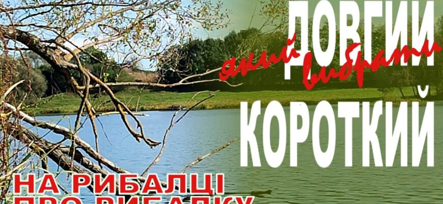 Обираємо ідеальний повідець: довгий чи короткий – що краще?