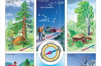 Що слід знати для успішного орієнтування на місцевості: ключові моменти