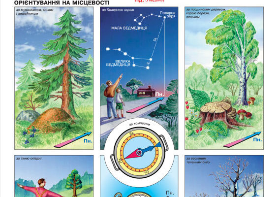 Що слід знати для успішного орієнтування на місцевості: ключові моменти