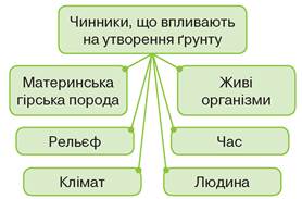 Чинники, що впливають на різноманітність ґрунтів: детальний огляд