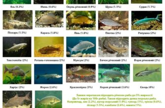 Заборонені продукти для черепах: чим не можна годувати улюбленця