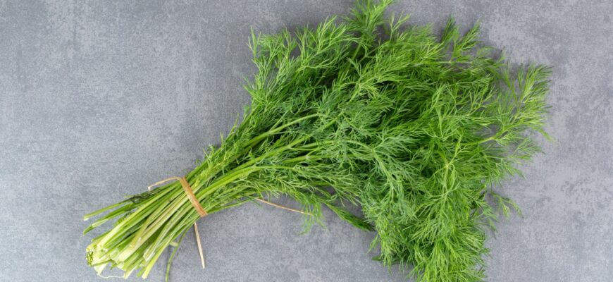 Чи можна заморозити кріп цілком: поради та методи збереження свіжості