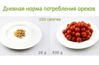 Калорійність половинки волоського горіха: скільки калорій у одній штуці?