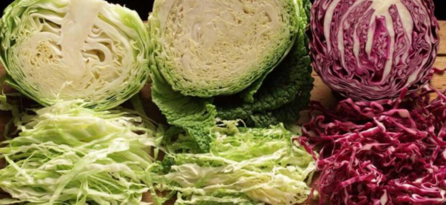 Чому качани капусти не їдять: розкриваємо причини та альтернативи