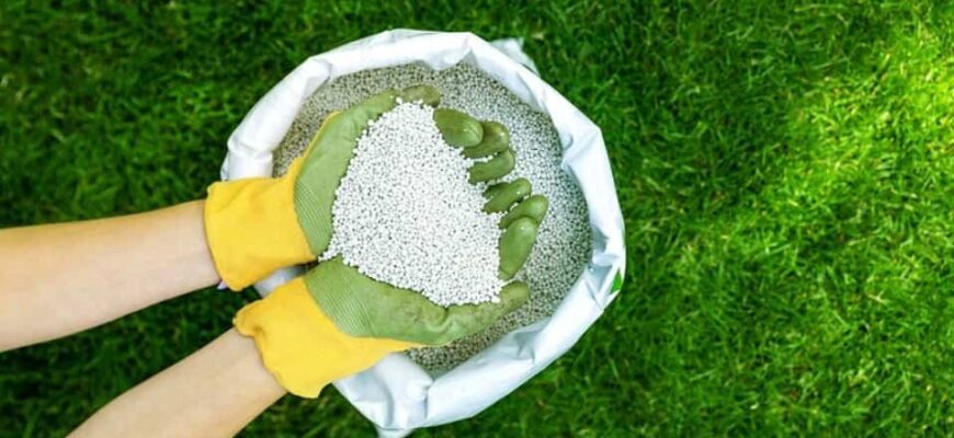 Як правильно та ефективно удобрити газон сечовиною: покроковий гід