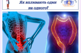 Вплив нектаринів на здоров’я кишечника: користь і можливі ризики