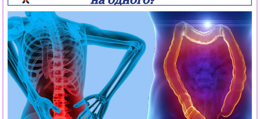 Вплив нектаринів на здоров’я кишечника: користь і можливі ризики