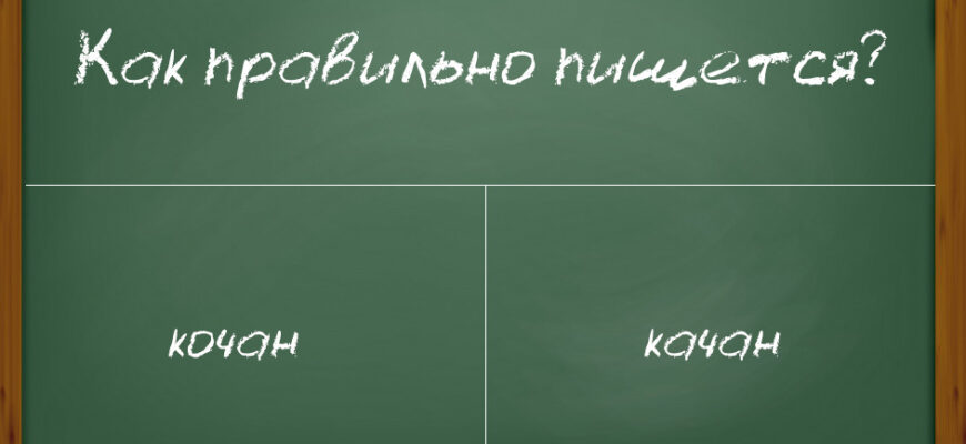 Як правильно писати “качан”: поради та рекомендації для успіху
