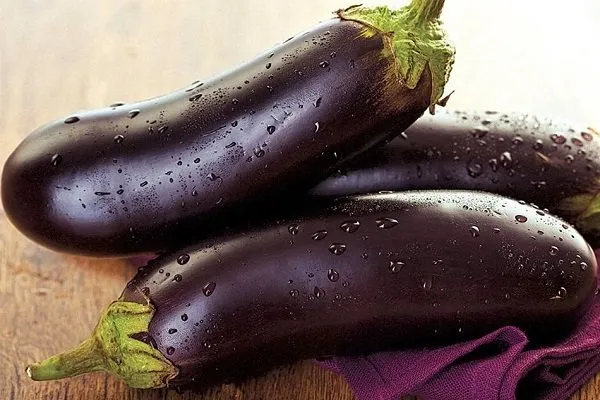 Коли дозрівають баклажани: важливі поради та оптимальні строки збору