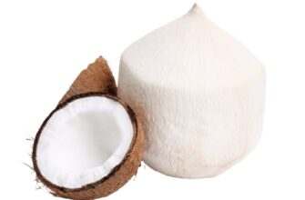 Чи можна вживати в їжу питний кокос: користь та рекомендації