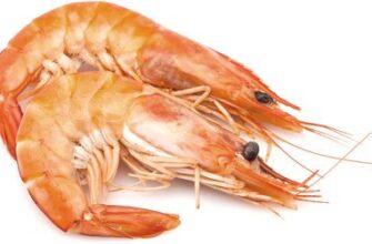 Як визначити свіжість лангустинів: практичні поради і методи перевірки