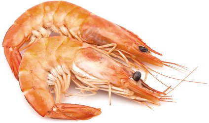 Як визначити свіжість лангустинів: практичні поради і методи перевірки