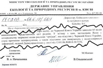 10 синонімів до “листування”: як цікаво назвати онлайн-спілкування