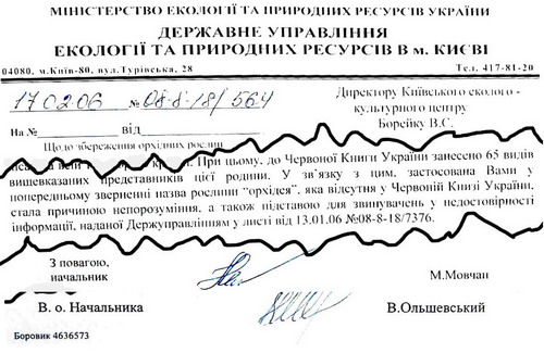 10 синонімів до “листування”: як цікаво назвати онлайн-спілкування