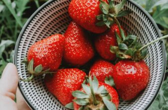 Як дізнатися, що полуниця псується: ознаки та поради зберігання