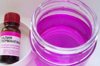 Як безпечно та ефективно розвести марганцівку для поливу розсади