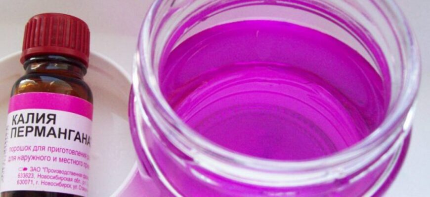 Як безпечно та ефективно розвести марганцівку для поливу розсади