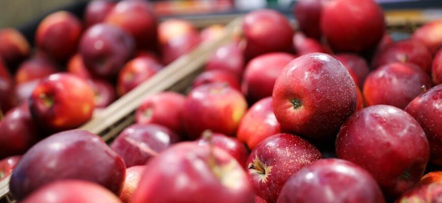 Як правильно вибрати підщепу для яблуні: практичні поради і рекомендації