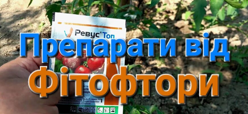 Оптимальні засоби для поливу проти фітофтори: захистіть рослини ефективно