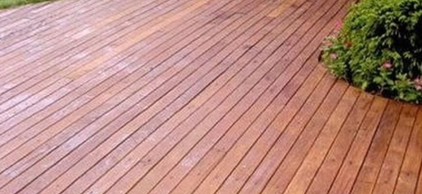 Недоліки деревини модрини: що врахувати перед використанням?