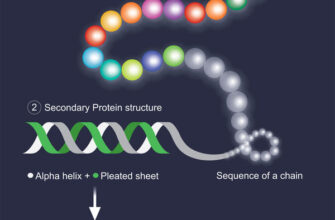 Чому амінокислоти стають замінними: пояснення і вплив на організм