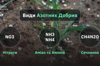 Азотні добрива: важливість і вплив на ріст та врожайність рослин