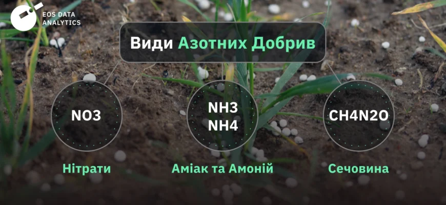Азотні добрива: важливість і вплив на ріст та врожайність рослин