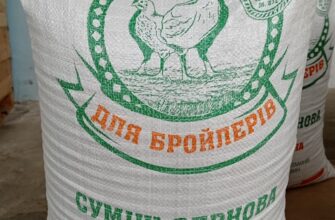 Скільки днів годувати курчат кормом “Старт”: рекомендації та поради