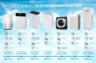 Що найбільше очищує повітря: найефективніші природні фільтри