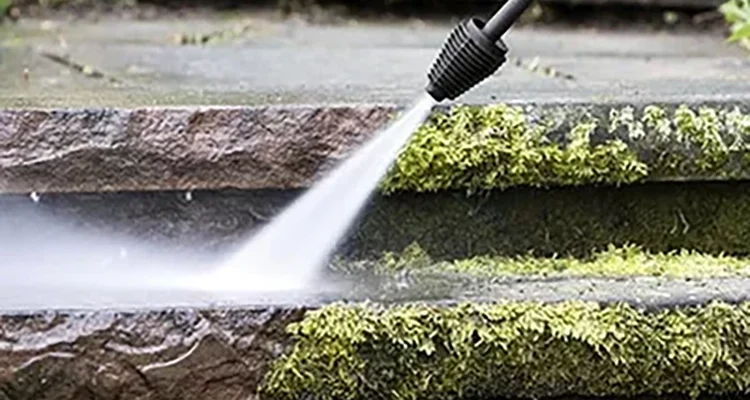 Як ефективно відмити мох: поради та методи для чистоти поверхонь