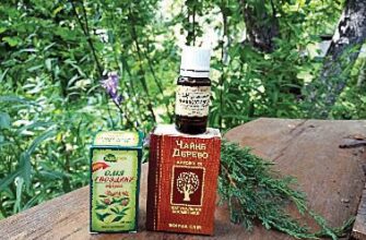 Як правильно використовувати ефірні олії для дихання: поради та техніки