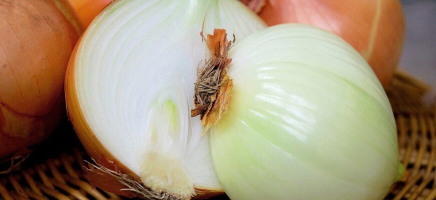 Чи варто поливати цибулю влітку: поради для оптимального врожаю