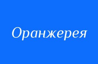 Як знайти синонім для слова “оранжерея”: практичні поради