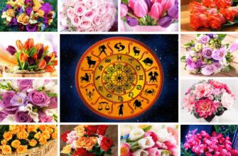 Квітка-символ Скорпіона: Яка рослина найбільше відповідає знаку?