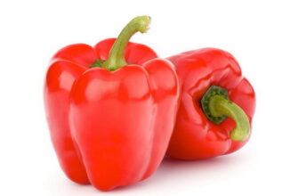 Чому перець вважають овочем: основні причини та цікаві факти