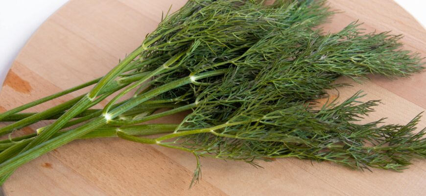 Чи варто вживати кріп щодня: користь і можливі ризики для здоров’я