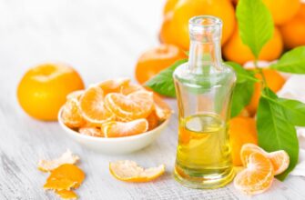 Як змусити ефірну олію наповнити кімнату ароматом: прості поради