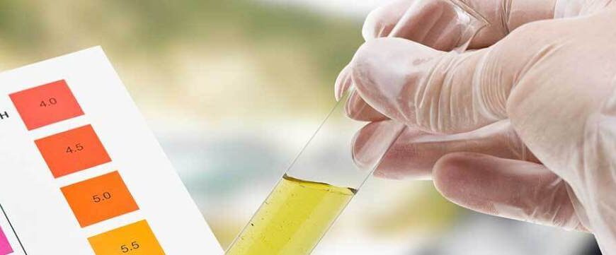 Як визначити лужність: докладний гід з перевірки рівня pH води